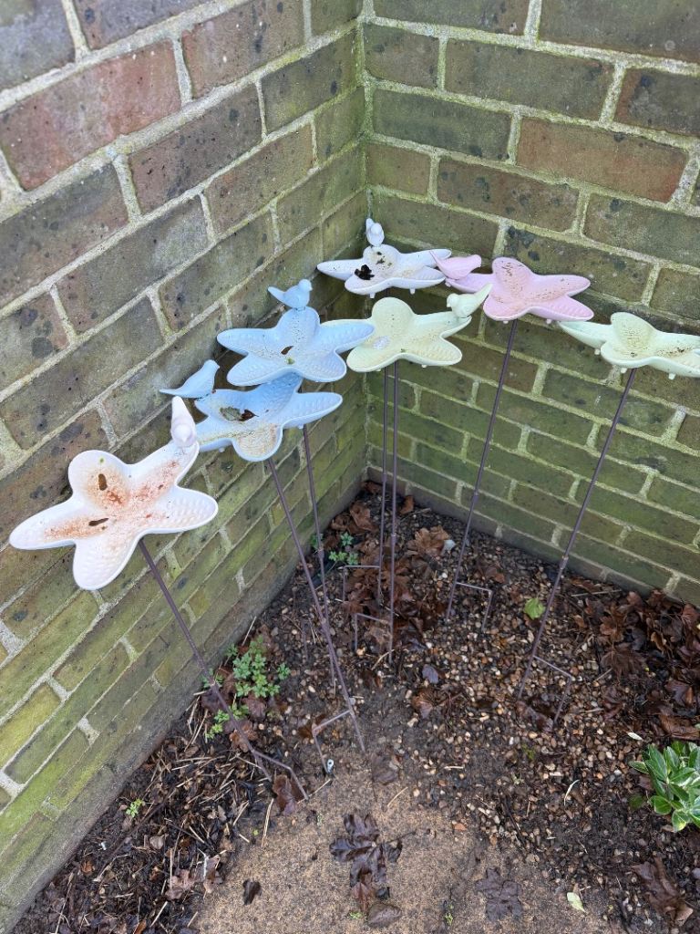 Bird baths ten each woodpecker is 20.00