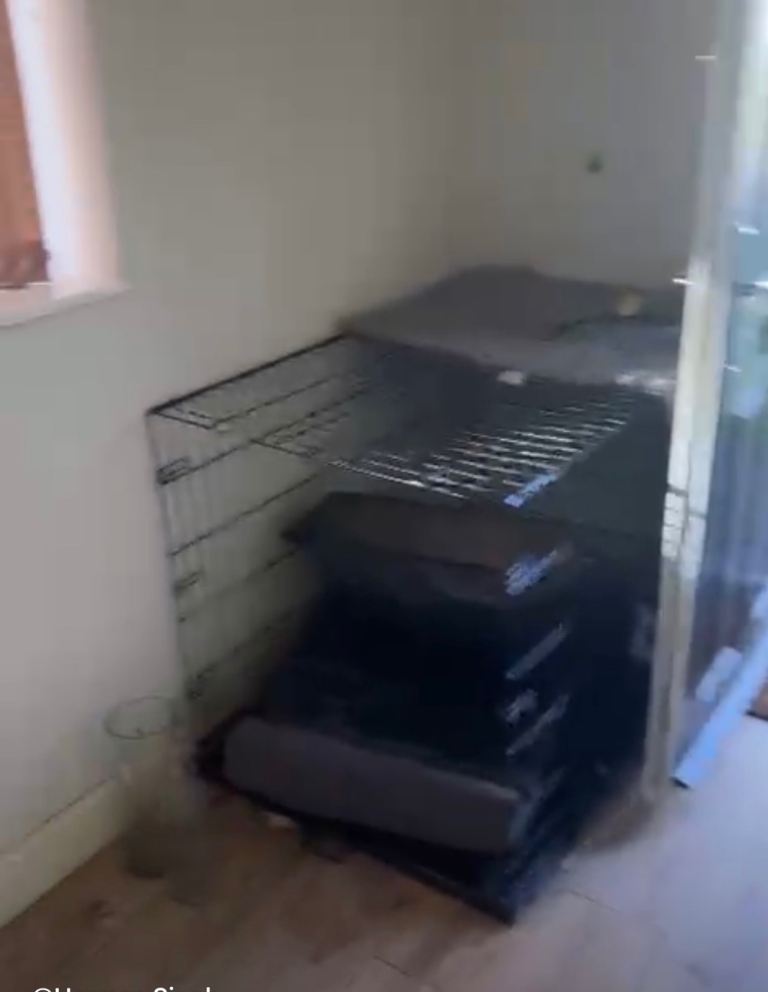 Dog cage