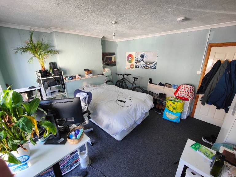 Nice room to rent in Brighton