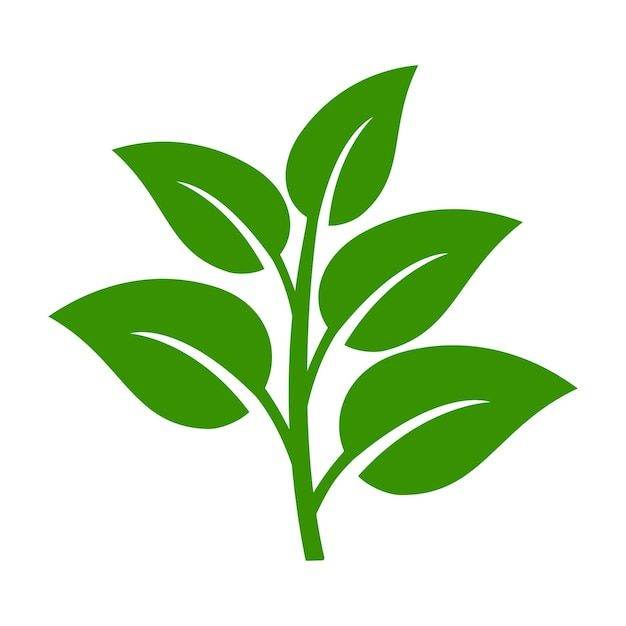 Garden clearance, patio and driveway restoration, shelving install, grass cutting