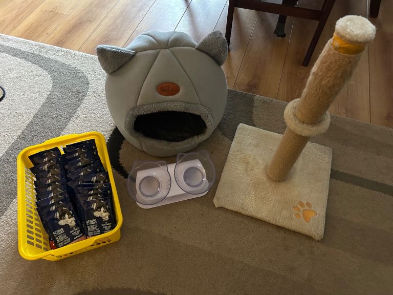 Good condition cat bed, scratching post, food dishes and food