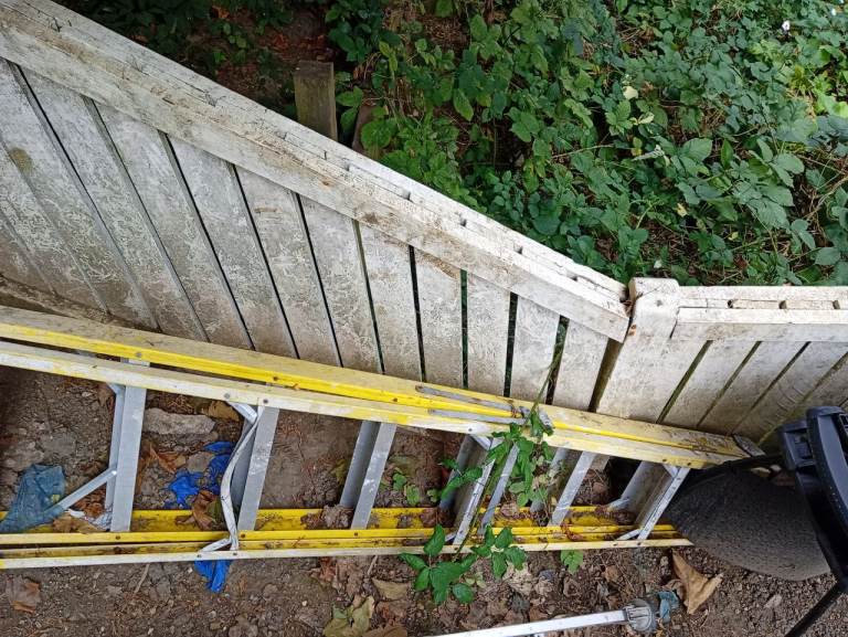 image for 7 rung ladder 