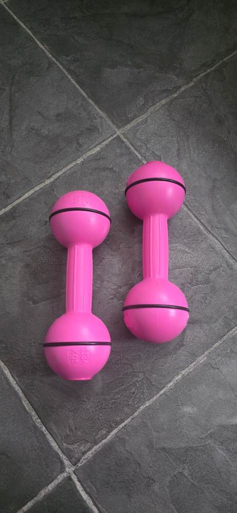EverLast 2.5kg dumbbells