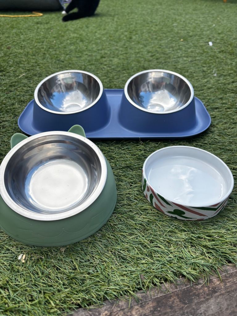 Pet food bowls 
