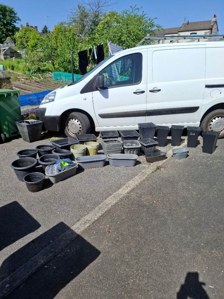 Large Job Lot of Plastic Garden Pots & Planters