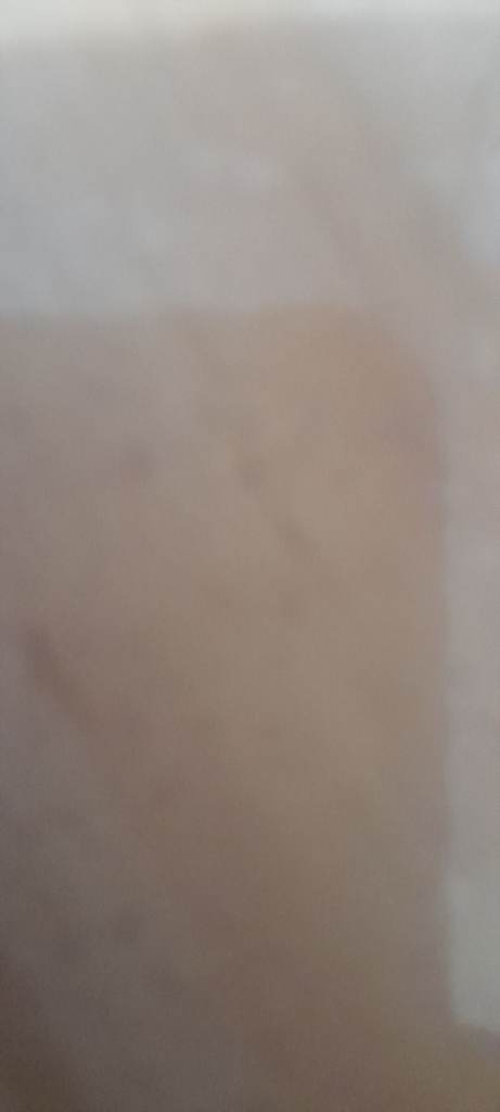 image for Heelies Size 