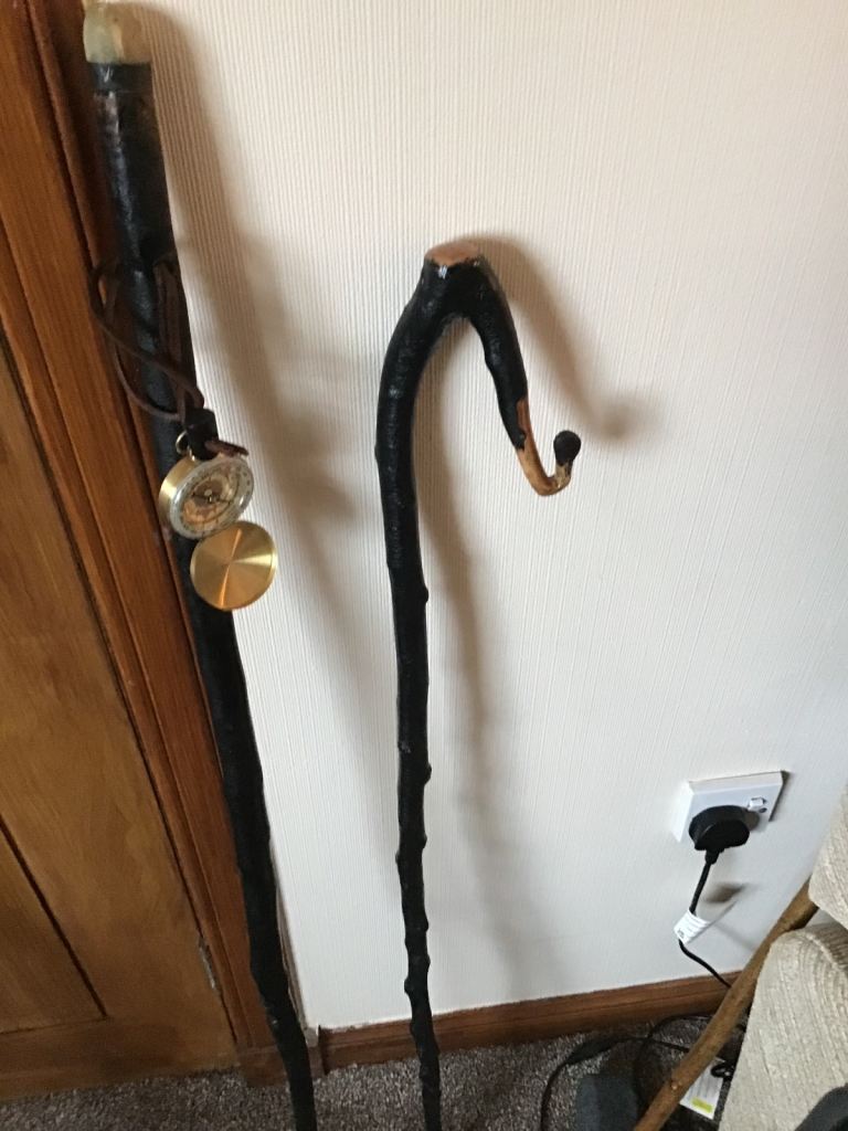 image for Hand crafted walking sticks 