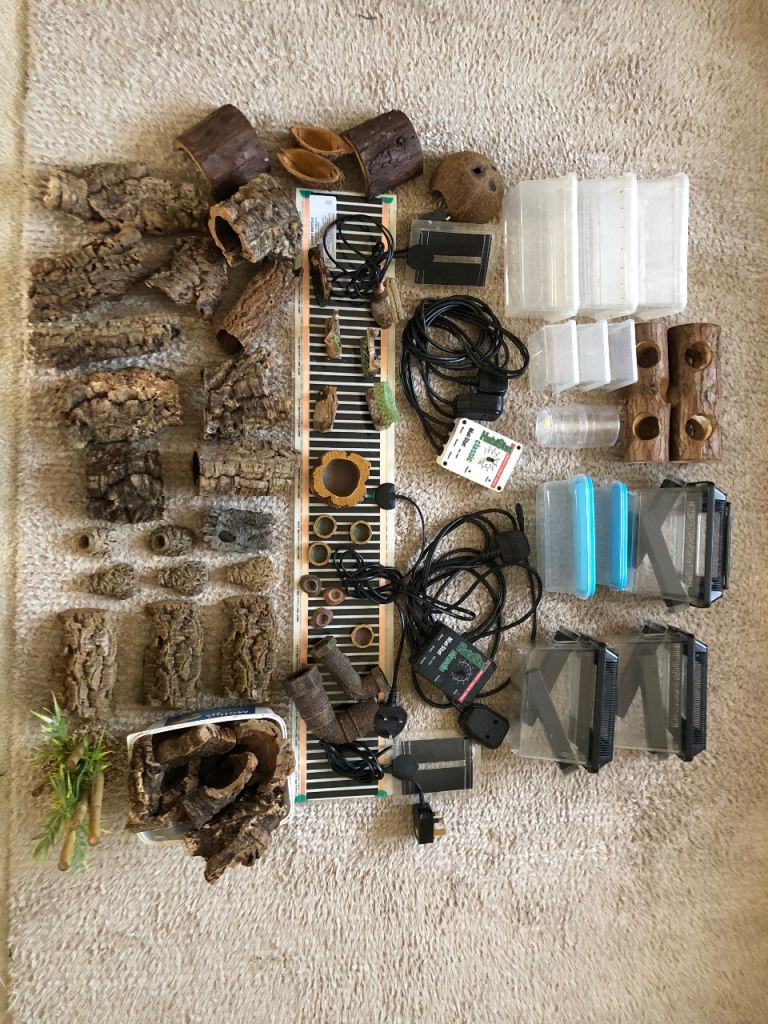 Reptile/invertebrate enclosure thermostats and decor bundle