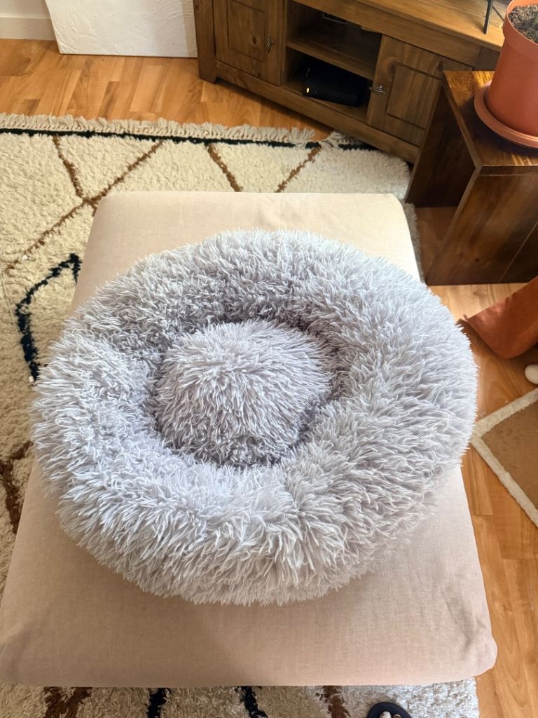 Cat Bed