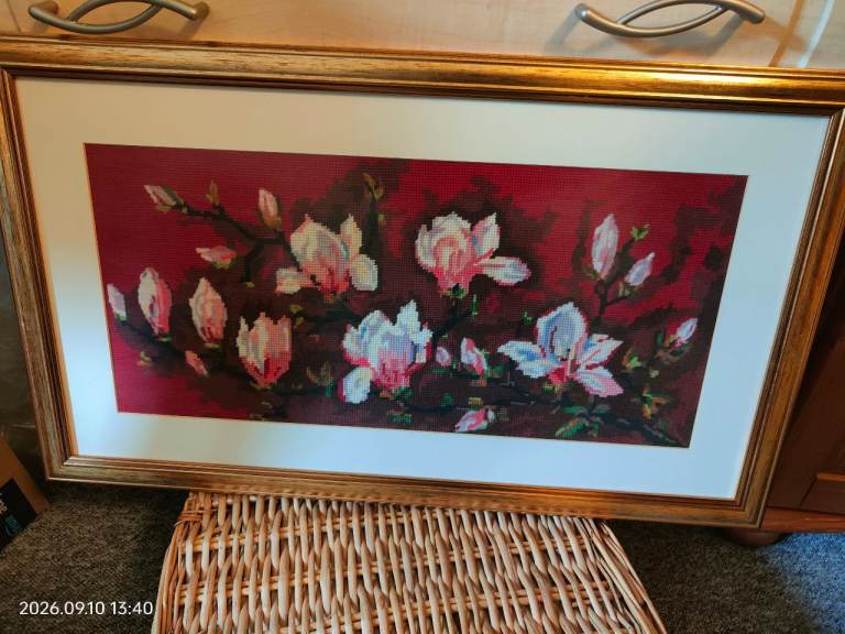 Framed Floral – Magnolia Flowers, Good Condition