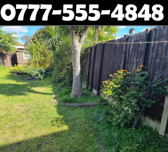 Cheap and Cheapest Gardener London for Professional Lawn Care, Hedge Trimming