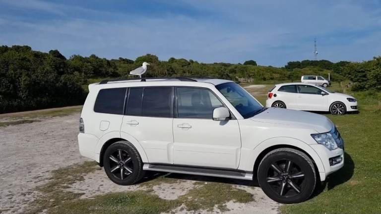 Mitsubishi, SHOGUN, AUTO DIESEL, 2015, 2016 SPECS, 3200 (cc), 5 doors 7 SEATS