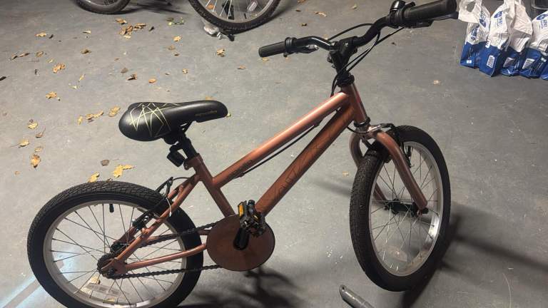 Bike rose gold 