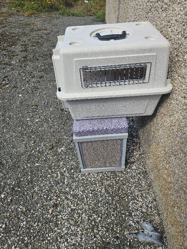 Cat carrier an bed box