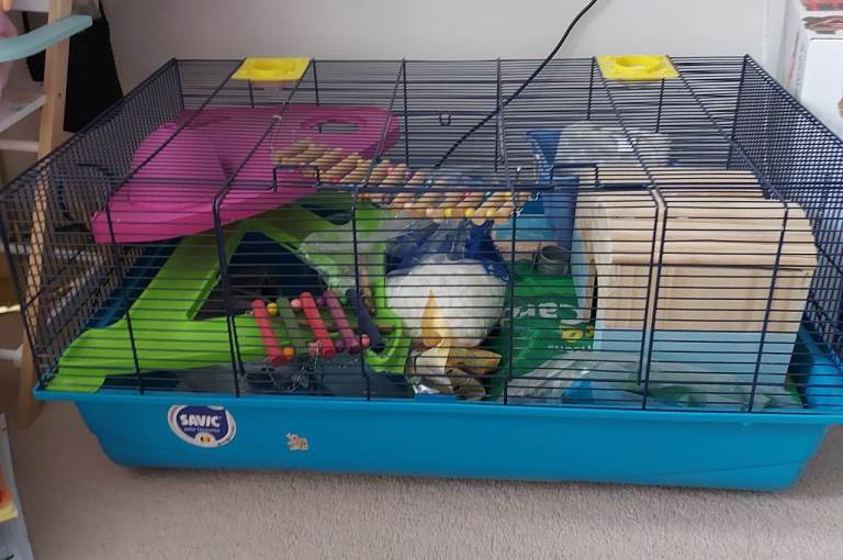 Hamster cage