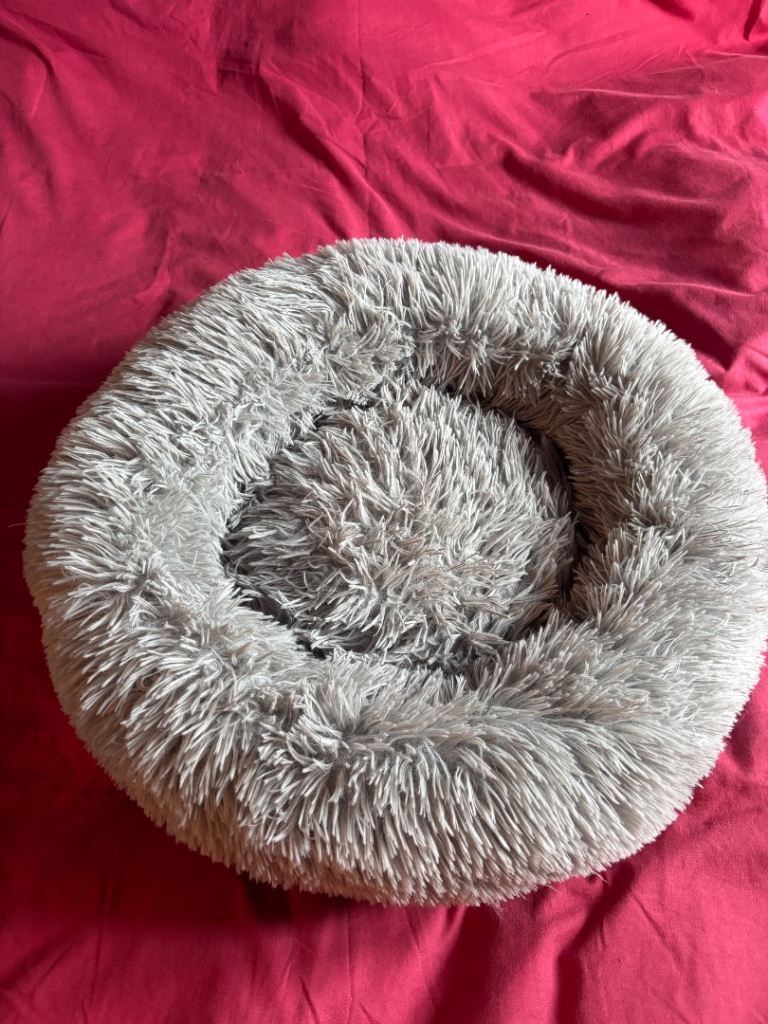 Fluffy cat/puppy bed 