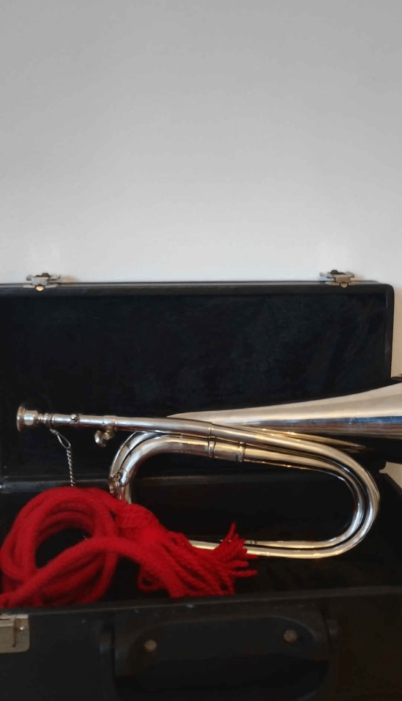 Bugle with carry case