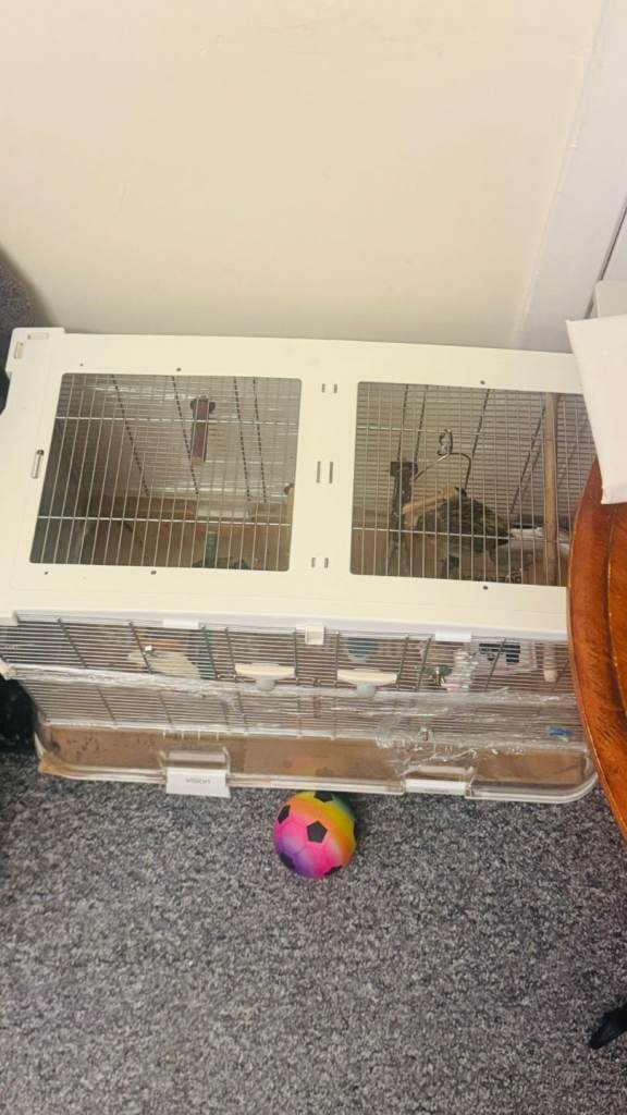 Cage with accessories 