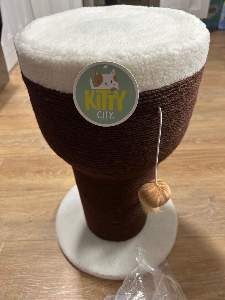 New cat scratcher 