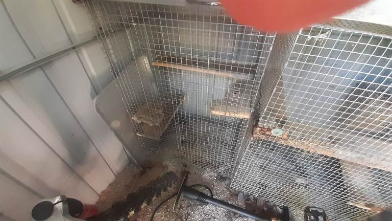 Chinchilla/degu wire upright cage x2, no trays