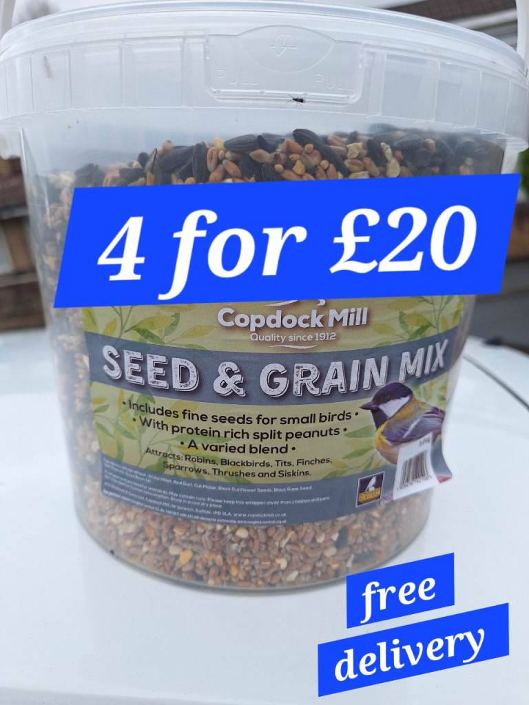 Bird seed 