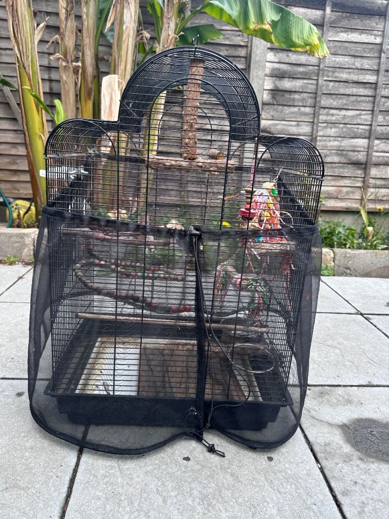 Large Black Bird Cage with Accessories