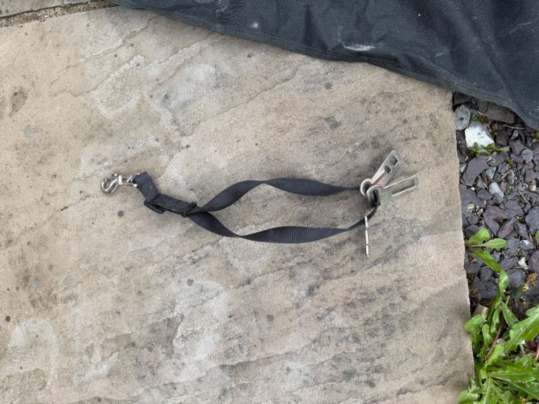 Dog seat cover and seat belt harness