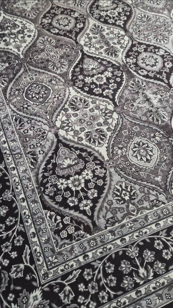 Rug Carpet Brand new
