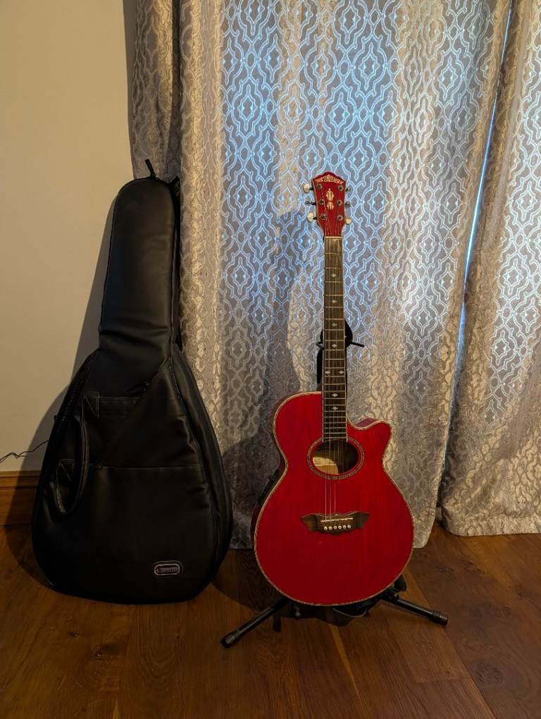 Washburn semi acoustic guitar with stand and leather gig bag