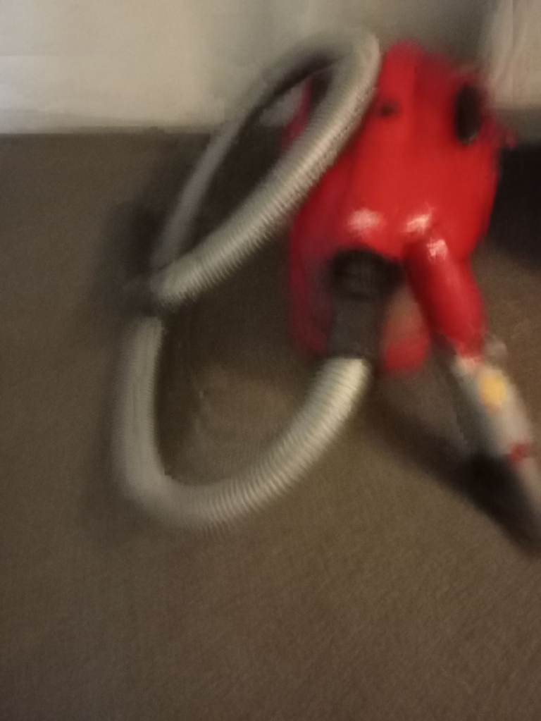 Dirty devil hoover