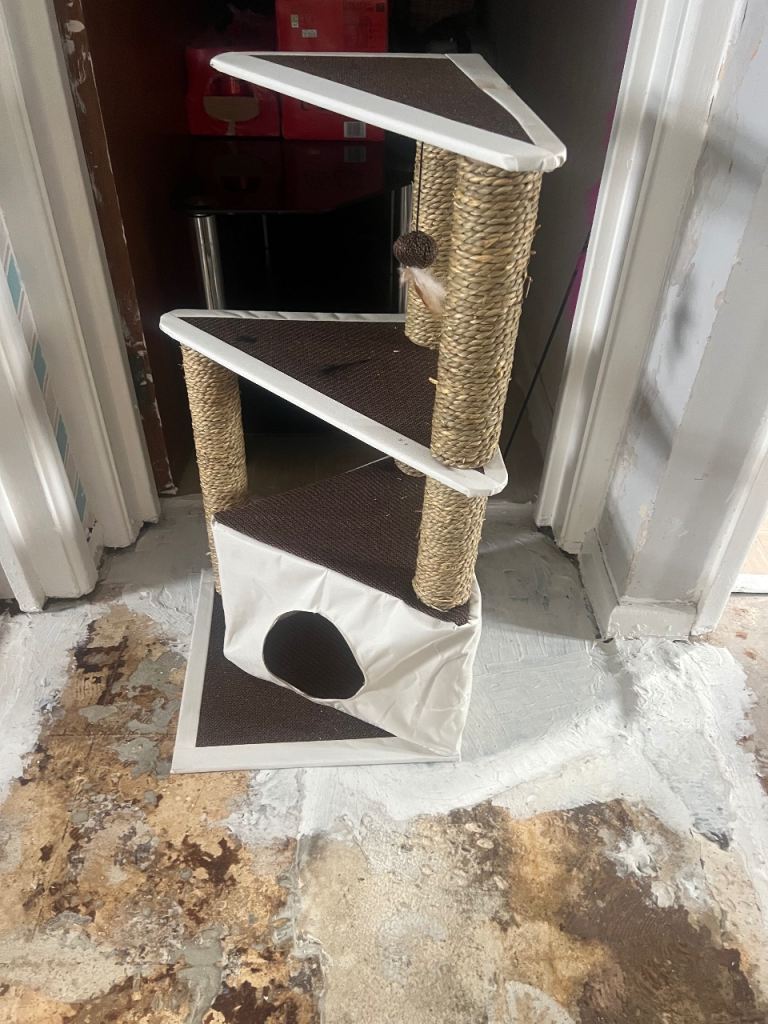 Cat Scratch post 