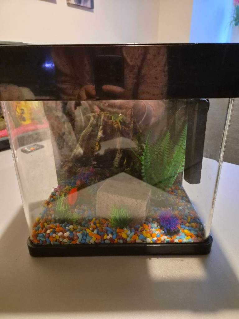 Fishtank hole setup 