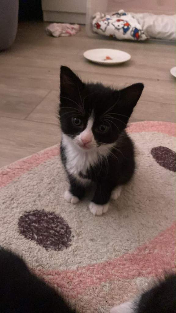 3 all black 3 Black and white