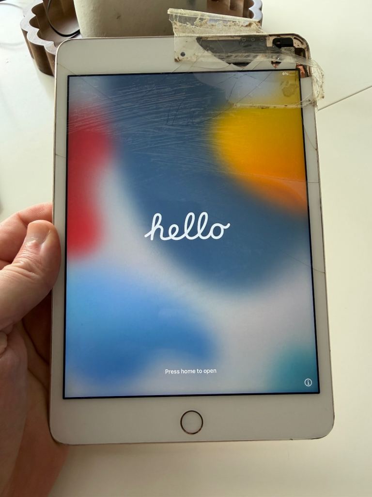 iPad mini 4 (slight damage) 128GB