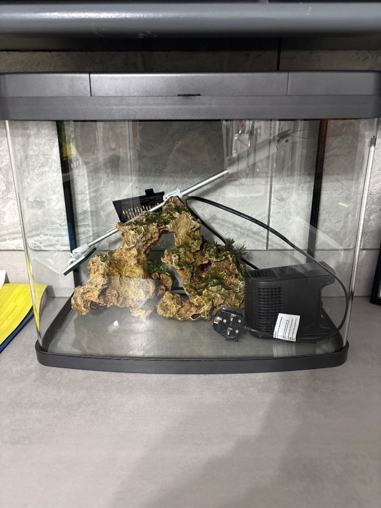 Aquarium Fish Tank with Decorations and Filter – Good Condition