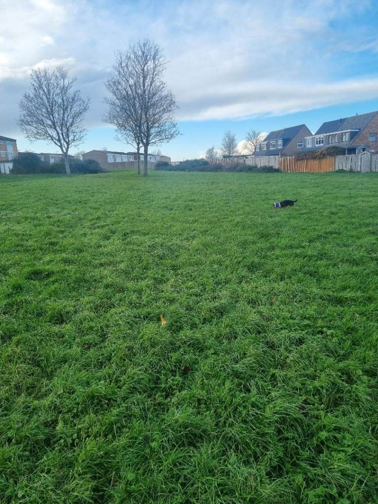 FREE COLLECTION - WANTED ITEMS 