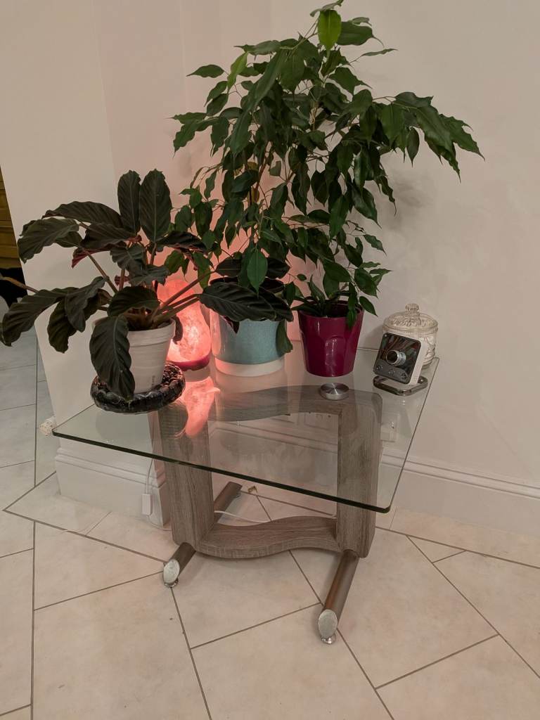 Glass top lamp/coffee table ex DFS