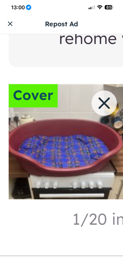Dog basket with cushion