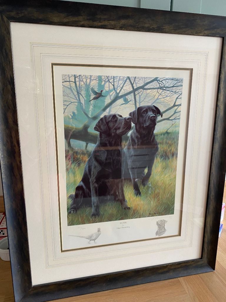 Framed Nigel Hemming Black Labrador Dog Prints – Good Condition