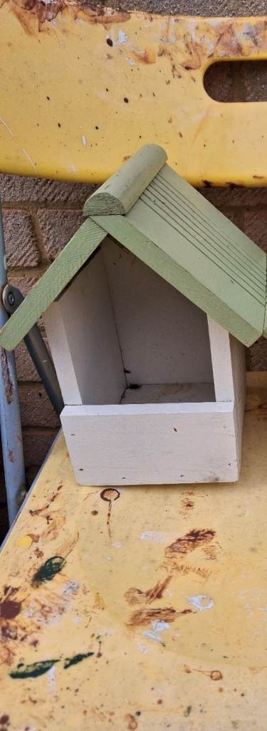 Robin bird box
