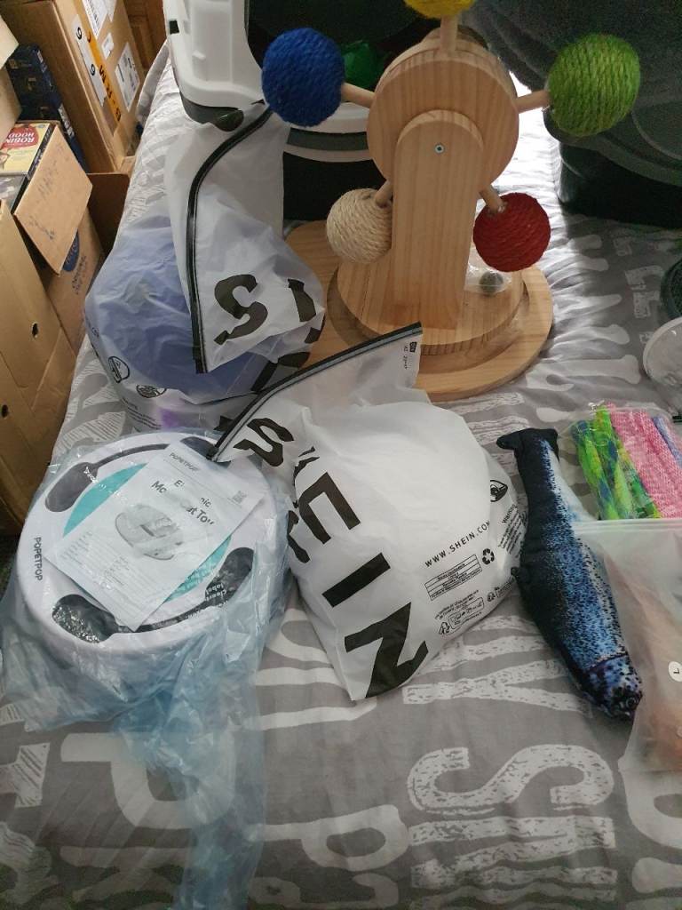 Cat Accessories 
