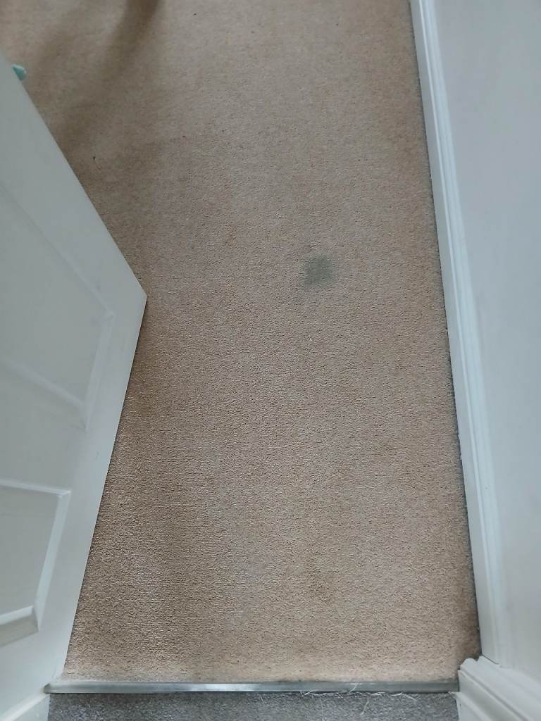 Free Carpet 3m x 2m