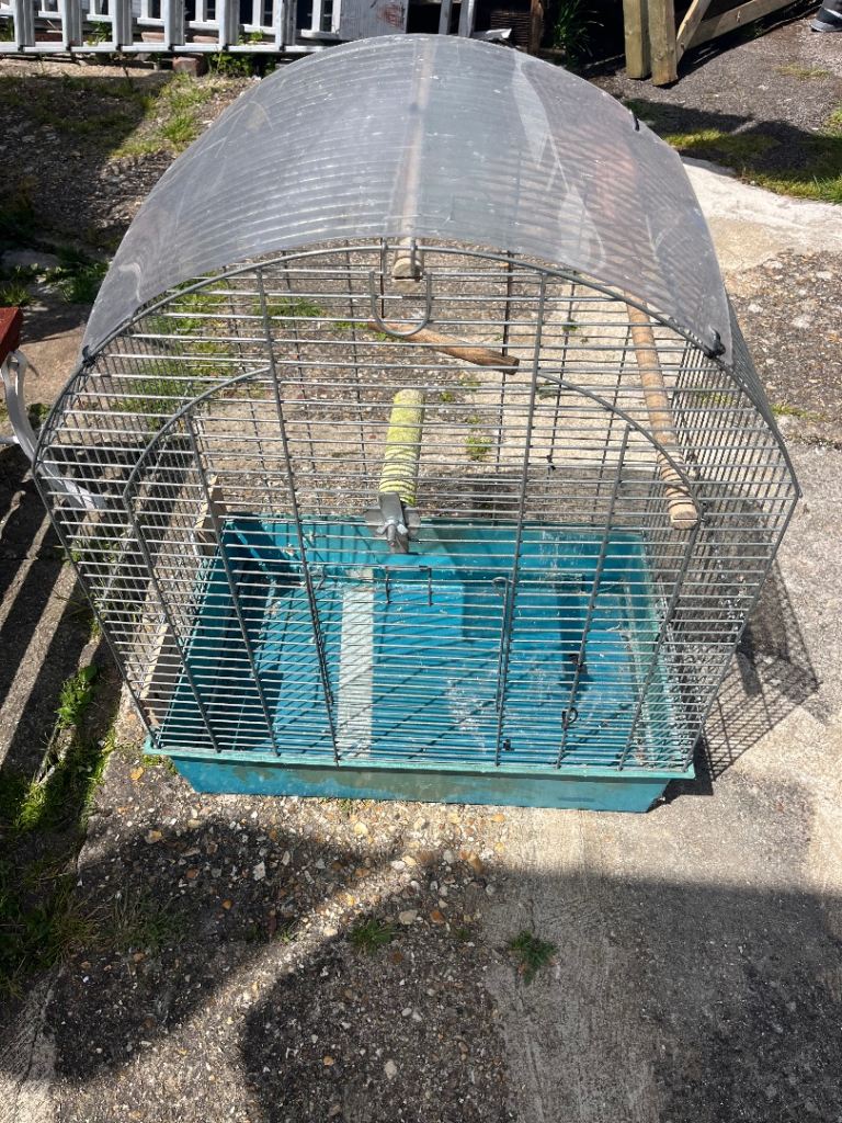 Bird cage 