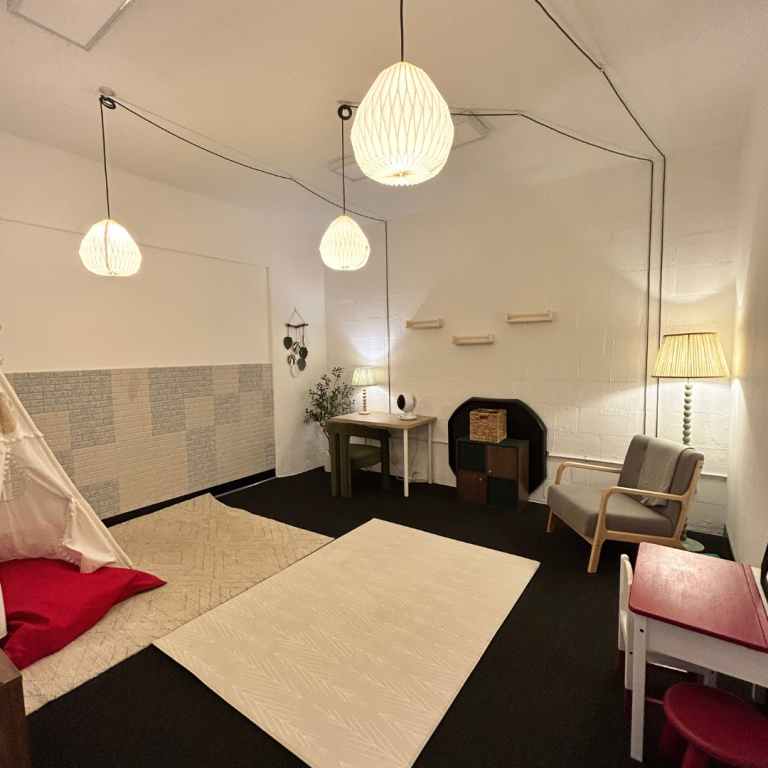 Paediatric therapy/ teaching room for tutors/ speech therapists/ OT/ Physios