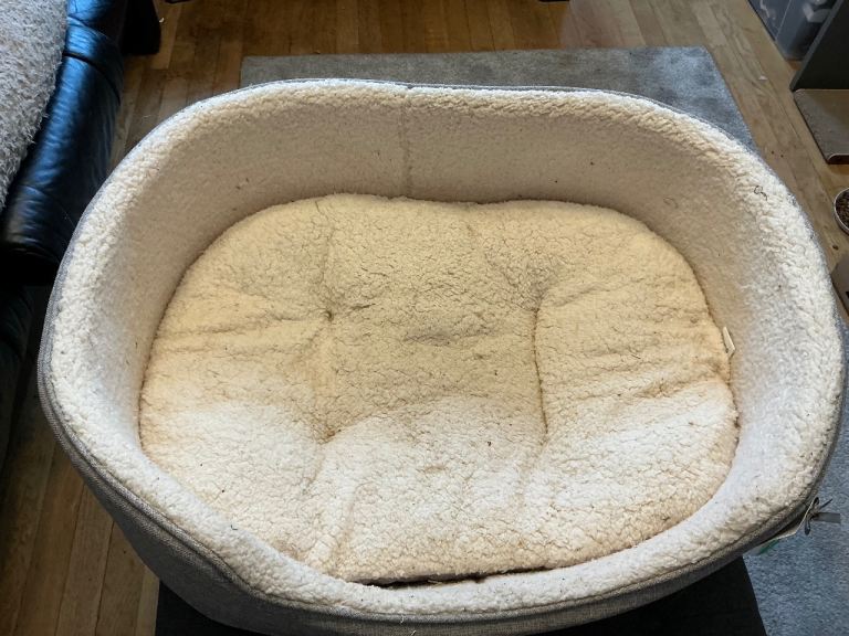 DOG BED