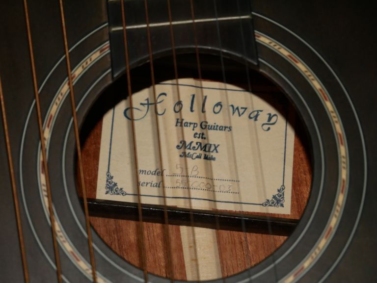 Holloway Guitars Model 5 Harp Guitar