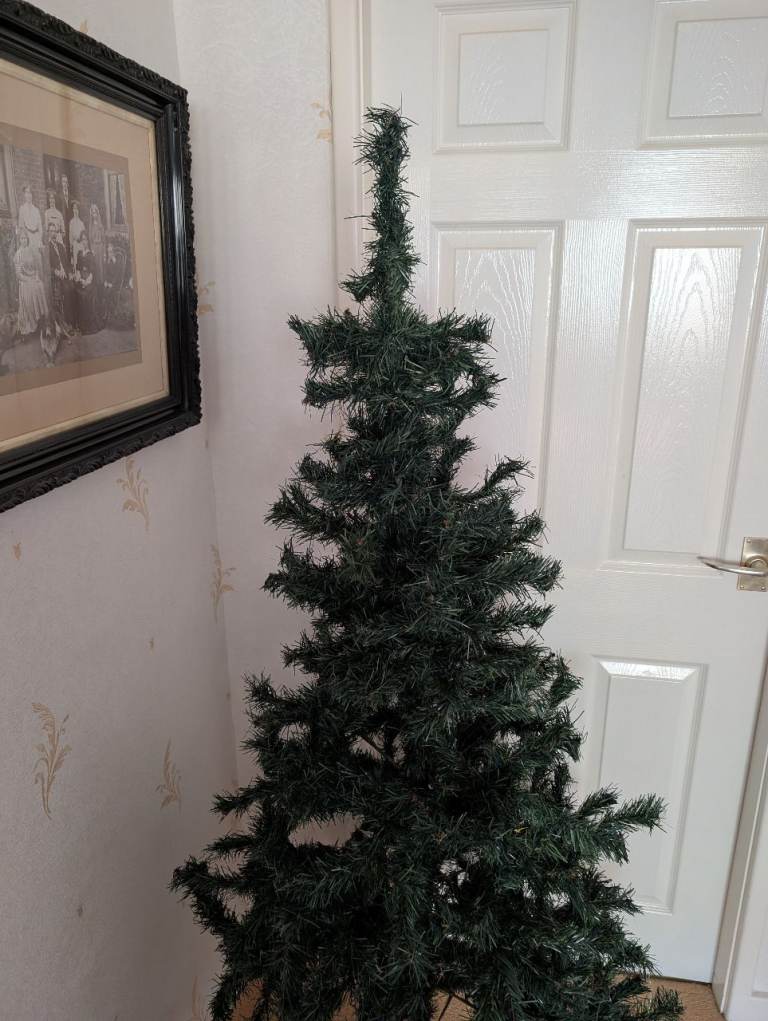 Christmas Tree for Sale