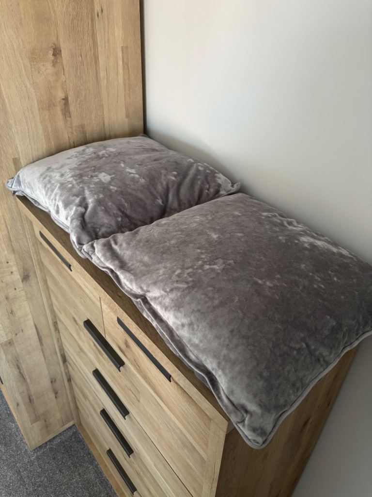 X2 Crushed Velvet Cushions