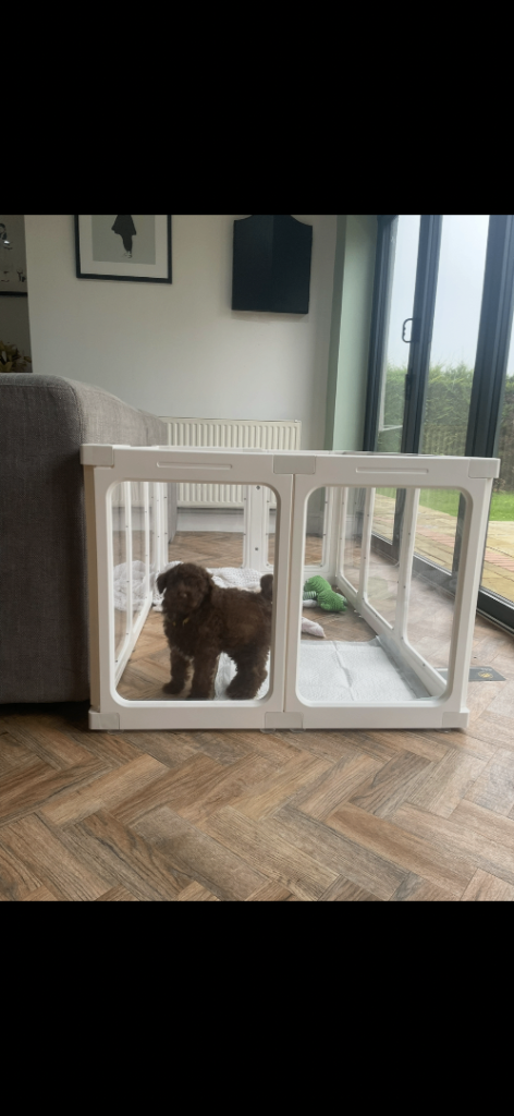 Puppy crate/cage 