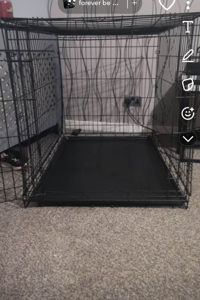 Large dog cage plus crate 